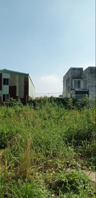 Bán đất biệt thự mini KDC Hoá An, TP. Biên Hoà. 7 x18m 126m. SHR đường ô to. Giá 3,2 tỷ tl - 1