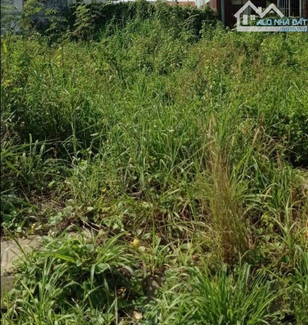 Bán đất biệt thự mini KDC Hoá An, TP. Biên Hoà. 7 x18m 126m. SHR đường ô to. Giá 3,2 tỷ tl - 2