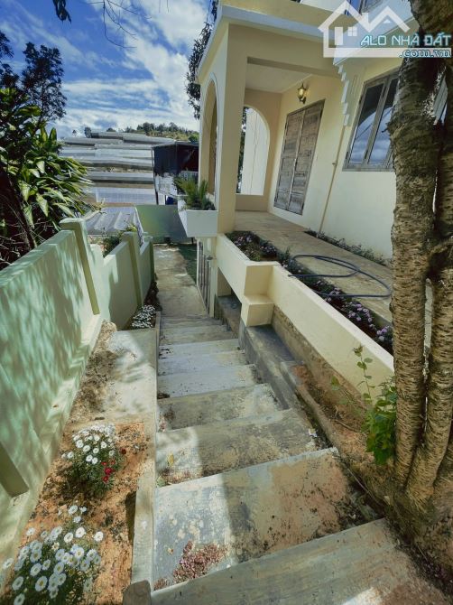 Cần bán căn nhà nhỏ cùng sân vườn to 400m² tại F10, tp Đà Lạt. - 3