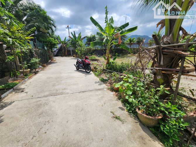 Bán lô đất full thổ cư 107m2 Sát Chợ Đầu Mối đường Võ Nguyên Giáp Diên Toàn - 5