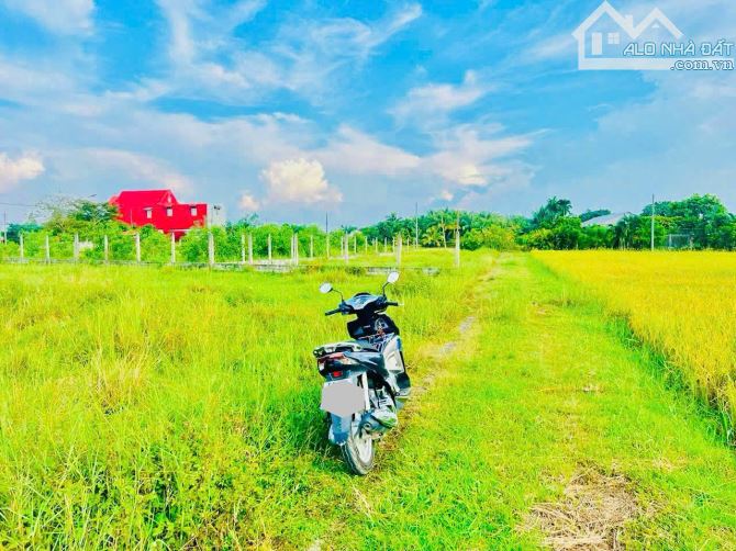 Chủ gửi bán 548m2 có sẵn 100m2 thổ cư đường Tỉnh Lộ 2 cách 200m xã Trung Lập Thượng