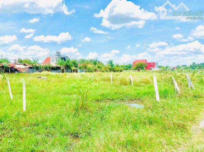 Chủ gửi bán 548m2 có sẵn 100m2 thổ cư đường Tỉnh Lộ 2 cách 200m xã Trung Lập Thượng - 1