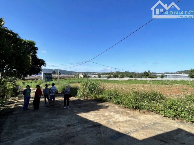 ✨ 1 LÔ DUY NHẤT: 7x27m (75m2 ONT), cách DT725 chỉ 400m. Chạm Đà Lạt chỉ vài cây số - 870Tr - 1