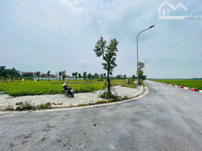 KHU ĐẤU GIÁ X8 HÀ PHONG-LIÊN HÀ-PHÂN LÔ-TÔ TRÁNH-VỈA HÈ-3 THOÁNG-DT: 120,2-MT:22-GIÁ:6,95 - 2