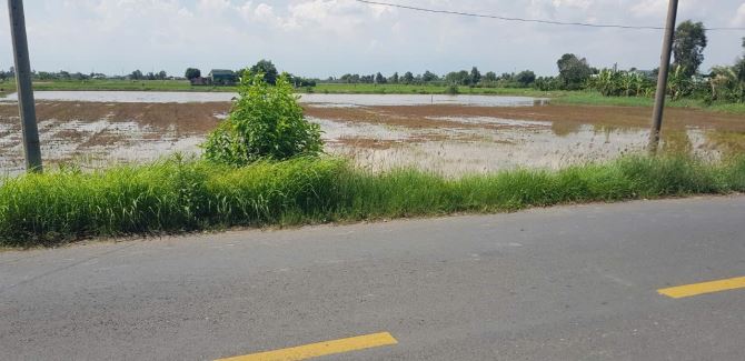 Bán 11.000 m đất măt tiền HỒ VĂN HUÊ Xã Phước Ty Huyện Cần Đước.  đường Quốc Lộ 50 - 2