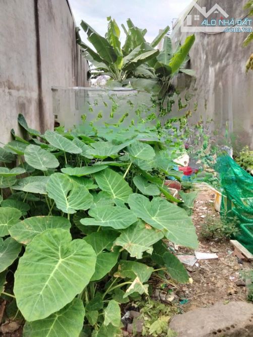 Bán đất dân, 100M2, Thổ cư, đường ô tô tránh nhau, Phước Thiền, Nhơn Trạch. - 2