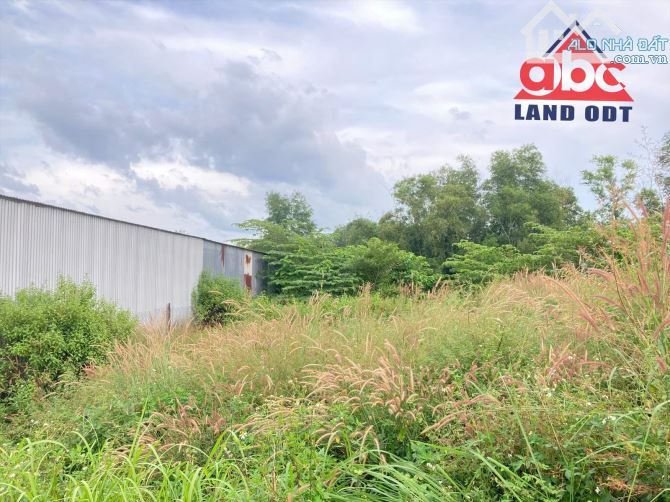 Bán đất  Bình Minh. TB. 250m2 SHR, thổ cư. Cách QL.1A 200m, giá chỉ 1ty599 - 2