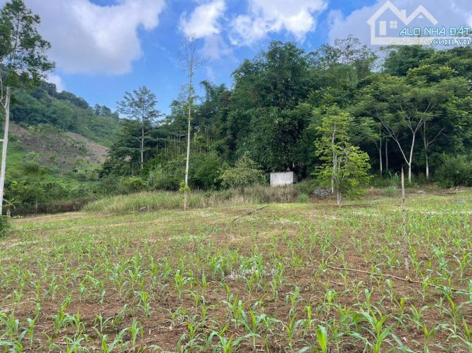 BÁN 1300M CÓ 1000M ĐẤT Ở MT DÀI TẠI CAO PHONG - HB GIÁ NHỈNH 1TY - 2