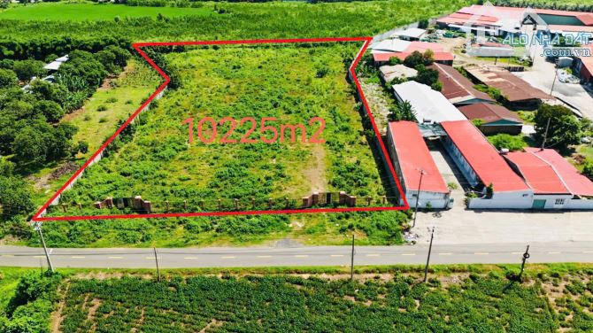 1 MẪU ĐẤT ĐẸP SIÊU HIẾM TRUNG TÂM ĐẤT ĐỎ, THỔ CƯ KHỦNG, CÁCH QUỐC LỘ 55 CHỈ 300M - 3