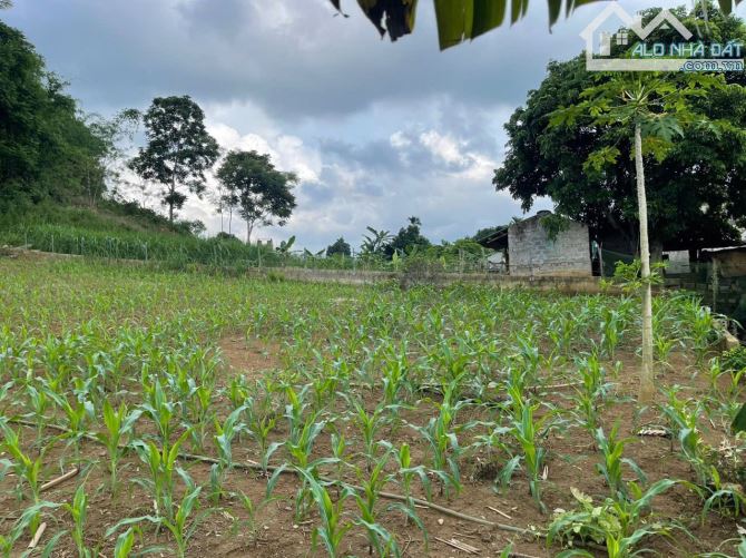 BÁN 1300M CÓ 1000M ĐẤT Ở MT DÀI TẠI CAO PHONG - HB GIÁ NHỈNH 1TY - 3