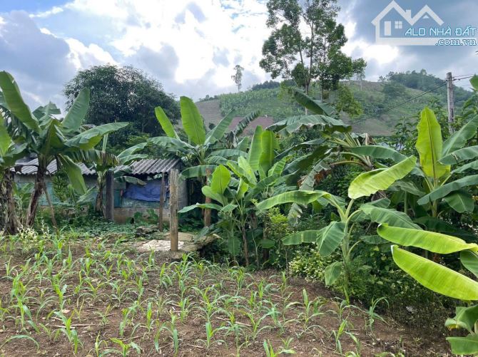 BÁN 1300M CÓ 1000M ĐẤT Ở MT DÀI TẠI CAO PHONG - HB GIÁ NHỈNH 1TY - 4