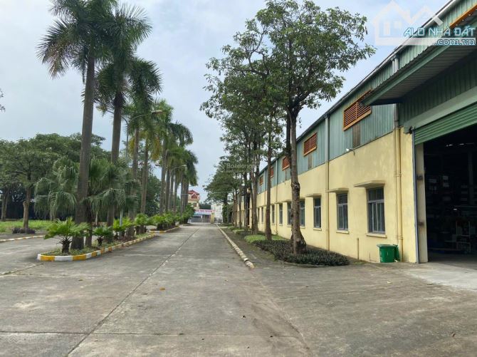 Cho thuê 3000 m2 kho xưởng  phú xuyên hà nội