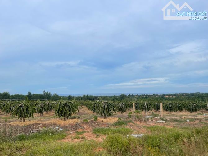 Bán đất Mặt Tiền đường dẫn Hàm Kiệm - Tiến Thành, xã Tiến Thành 2 triệu/m2 - 1