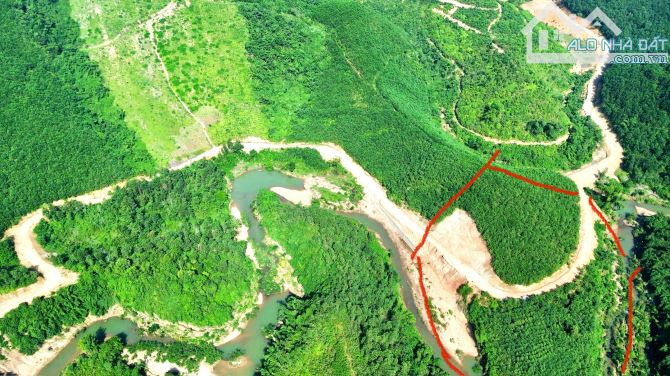 2.3ha Rừng Sản Xuất Bám Đường Bê Tông - Bám Suối To Đẹp - 1