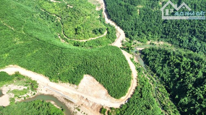 2.3ha Rừng Sản Xuất Bám Đường Bê Tông - Bám Suối To Đẹp - 2