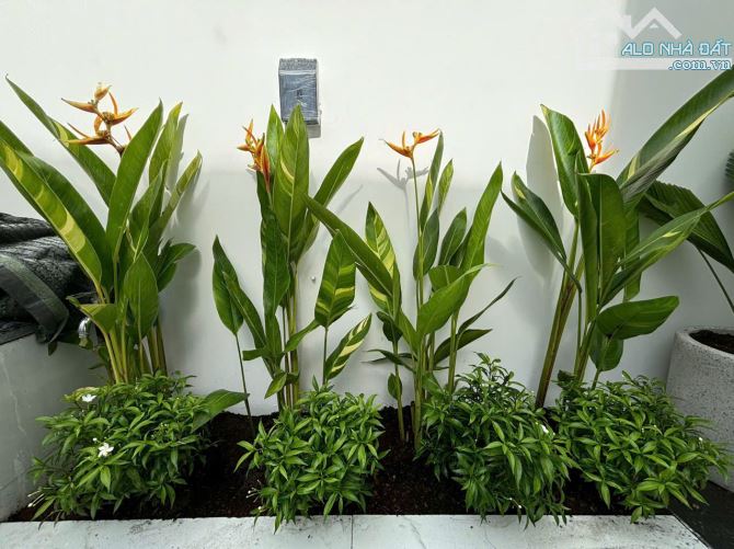 Bán nhà phường 6 khu chợ đêm mỹ tho - 3
