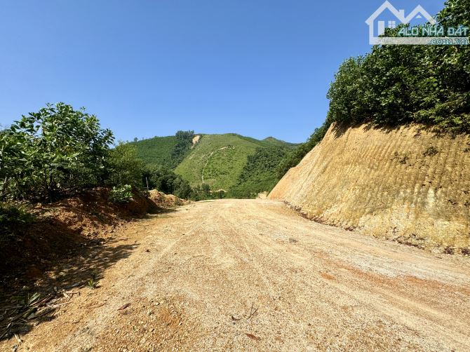 2.3ha Rừng Sản Xuất Bám Đường Bê Tông - Bám Suối To Đẹp - 3