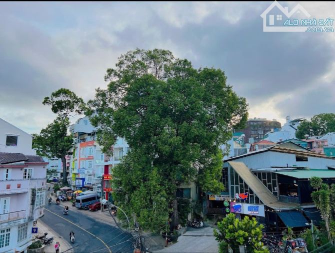 Bán Khách sạn Hai mặt tiền Bùi Thị Xuân, Lý Tự Trọng P2, Đà Lạt chỉ 17 tỷ TL - 4