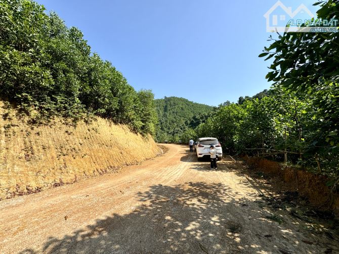2.3ha Rừng Sản Xuất Bám Đường Bê Tông - Bám Suối To Đẹp - 4