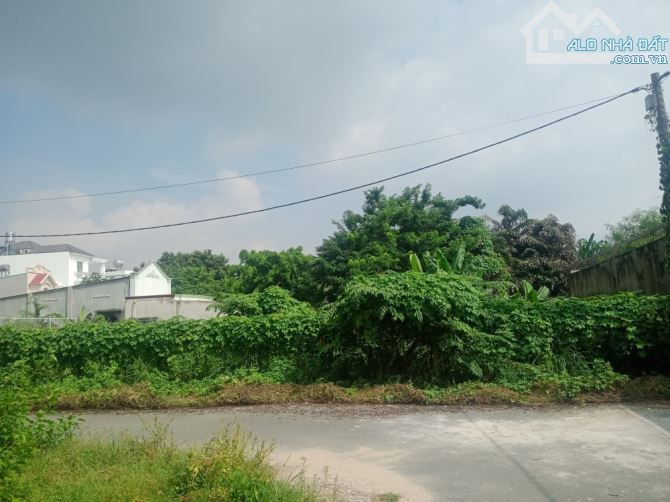 Gấp bán đất Mặt tiền Lã Xuân Oai, Quận 9(cũ), dt 6800m2, giá 240 tỷ. - 3