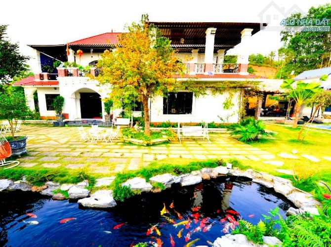 BÁN BIỆT THỰ NGHỈ DƯỠNG ĐẲNG CẤP 2832m2 - HOMESTAY SIÊU LỢI NHUẬN TẠI BA VÌ