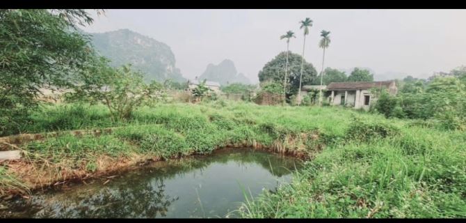 Cần bán 1600m view cánh đồng tuyệt đẹp - 1