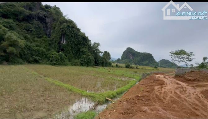 Bán đất nghỉ dưỡng Cao Dương Lương sơn Hòa Bình DT 1400m2 có 500m tc view cánh đồng - 1