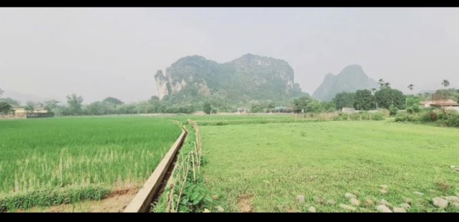 Cần bán 1600m view cánh đồng tuyệt đẹp - 2