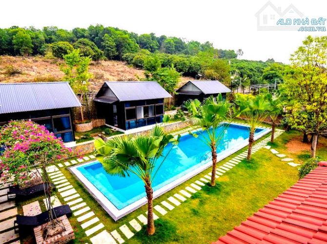 BÁN BIỆT THỰ NGHỈ DƯỠNG ĐẲNG CẤP 2832m2 - HOMESTAY SIÊU LỢI NHUẬN TẠI BA VÌ - 3