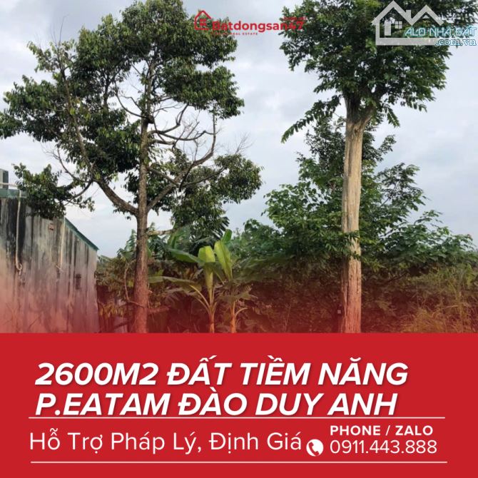 💥 2600M2 LÔ ĐẤT TẠI PHƯỜNG EATAM ĐÀO DUY ANH - 1