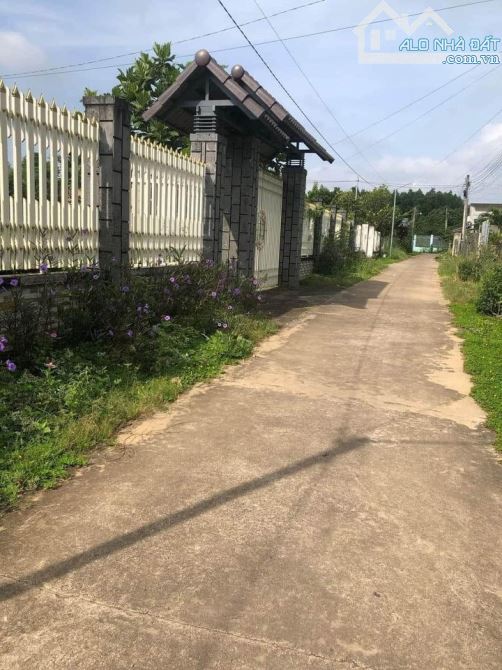 BÁN ĐẤT 1 SẸC QUỐC LỘ 20 KHU DÂN CƯ 1314M2(26MX61M) GIÁ SIÊU HỜI CHỈ 1TY2 - 1