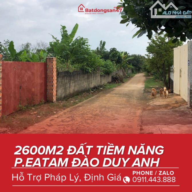 💥 2600M2 LÔ ĐẤT TẠI PHƯỜNG EATAM ĐÀO DUY ANH - 3