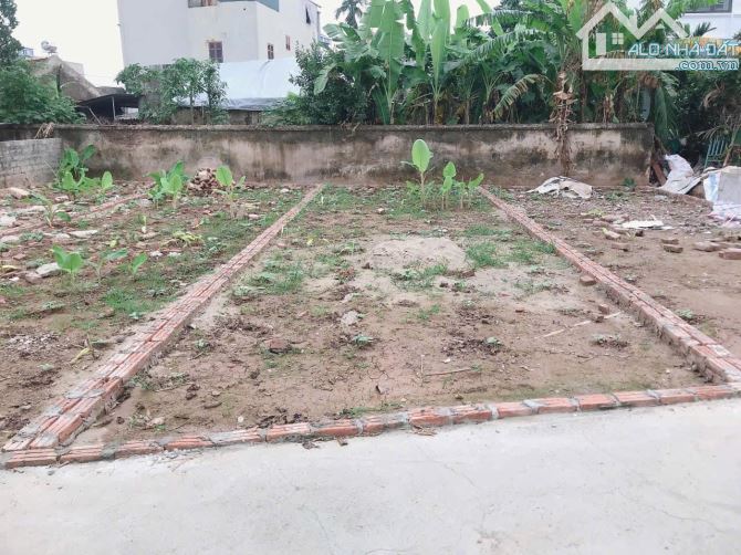Hàng mới tinh - Kim An - Thanh oai , Ô tô tải vào nhà giá chỉ 3x tr/m2