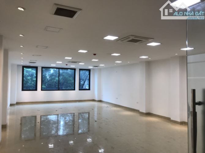 Cho thuê tòa VP mặt phố Nguyễn Quốc Trị. 110m2, xây 7 tầng, có hầm. Thang máy. Full - 1