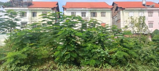 BÁN LÔ ĐẤT 168M2- MẶT TIỀN KINH DOANH BÀ ĐIỂM- GIÁ CHỈ 7 TỶ 400 GỌI CHO EM XEM ĐẤT - 2