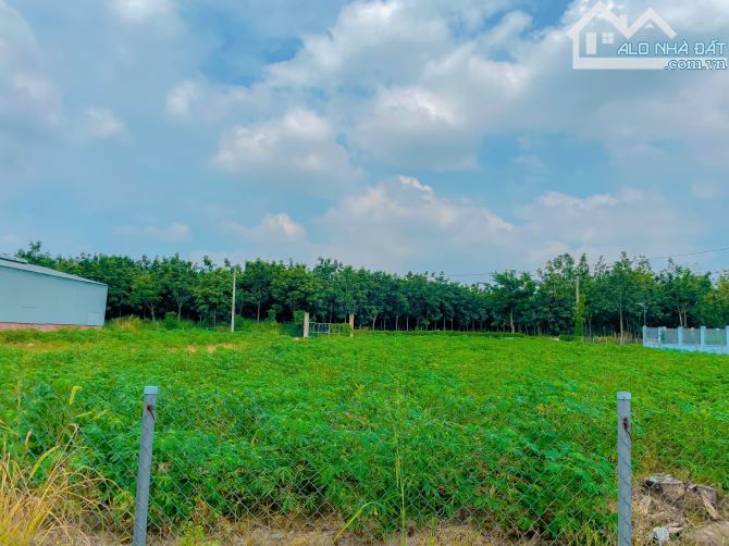 LÔ ĐẤT 2 MT SIÊU ĐẸP CẠNH LÀNG ĐẠI HỌC VÀ CAO TỐC BH-VT, PHỦ HỒNG, CÁCH SÂN BAY 5 PHÚT - 8