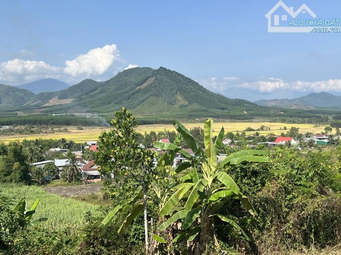 bán 2.500m đất làm nhà vườn view đẹp quy hoạch full thổ cư gần chợ trường giá chỉ 670tr - 3