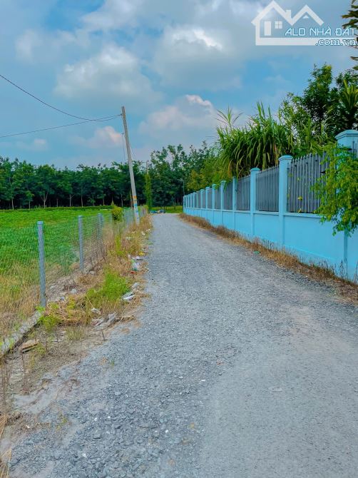 LÔ ĐẤT 2 MT SIÊU ĐẸP CẠNH LÀNG ĐẠI HỌC VÀ CAO TỐC BH-VT, PHỦ HỒNG, CÁCH SÂN BAY 5 PHÚT - 9