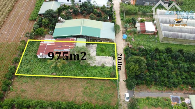 BÁN NHÀ NHỎ SÂN VƯỜN XÃ BÌNH THẠNH HUYỆN ĐỨC TRỌNG ĐÀ LẠT - 2.8 TỶ - 4