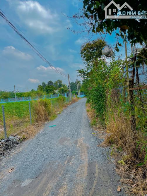 LÔ ĐẤT 2 MT SIÊU ĐẸP CẠNH LÀNG ĐẠI HỌC VÀ CAO TỐC BH-VT, PHỦ HỒNG, CÁCH SÂN BAY 5 PHÚT - 10