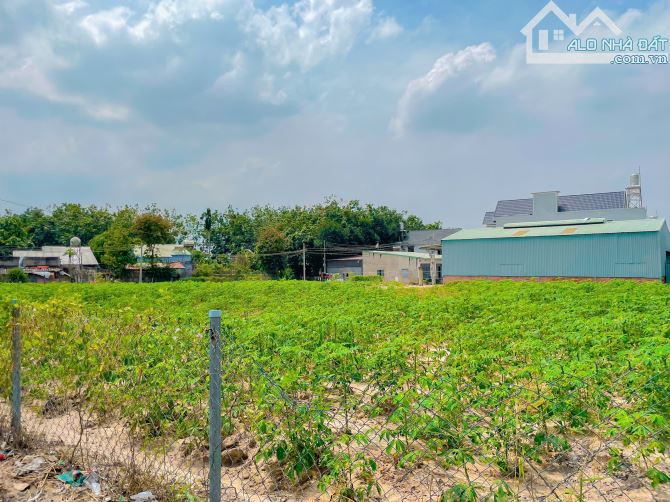 LÔ ĐẤT 2 MT SIÊU ĐẸP CẠNH LÀNG ĐẠI HỌC VÀ CAO TỐC BH-VT, PHỦ HỒNG, CÁCH SÂN BAY 5 PHÚT - 12