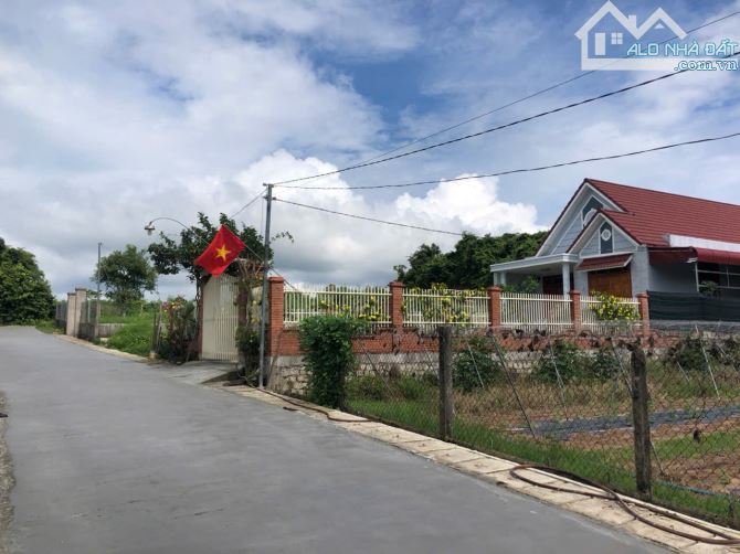 bán đất xã châu pha, tt phú mỹ. sổ riêng 500m2 25x20 1 sẹt đường châu pha -bà rịa