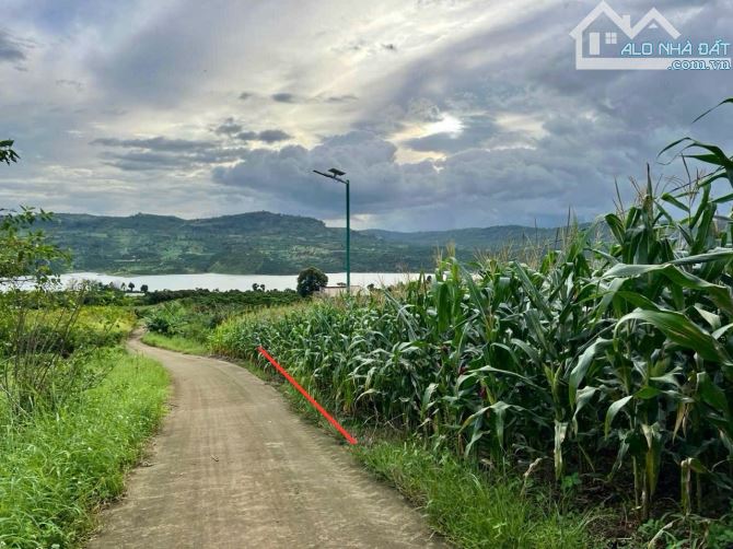 ✨ 1.038m2 (100m2 ONT) View Sông, Ngang 12M Mặt đường BÊ TÔNG, xe hơi vi vu tới đất - 699Tr