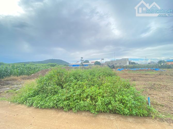 Đất Liên Hiệp Đức Trọng - Cách tuyến tránh QL27 chỉ 600m, Gần sân bay Liên Khương - 1