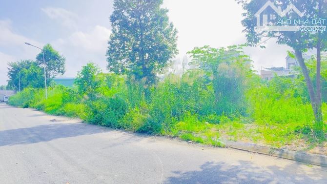 Cho thuê đất 380 m2 đường Lý Thái Tổ khu Hưng Phú 1 - 1
