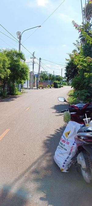 Bán đất Thị Trấn Đất Đỏ - đường nhựa Nguyễn Đình Chiểu - 1