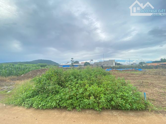 Đất Liên Hiệp Đức Trọng - Cách tuyến tránh QL27 chỉ 600m, Gần sân bay Liên Khương - 2
