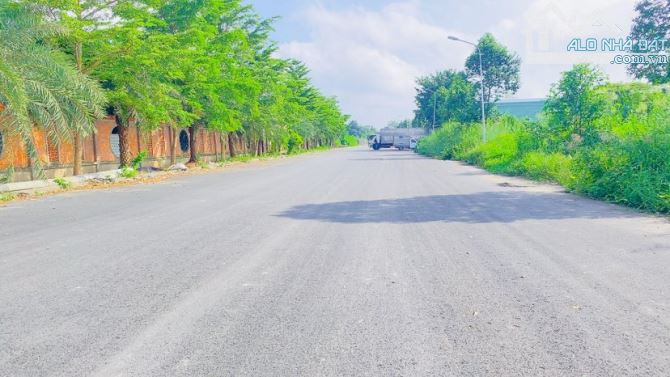 Cho thuê đất 380 m2 đường Lý Thái Tổ khu Hưng Phú 1 - 2