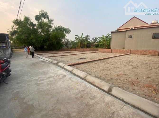 Bán lô đất 76m2 Đại Trang Bát Trang An Lão sát cạnh tràng duệ 3 giá chỉ 485tr - 2