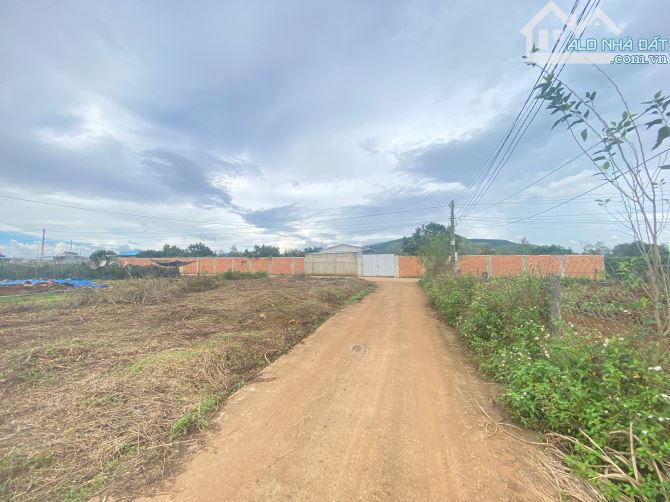 Đất Liên Hiệp Đức Trọng - Cách tuyến tránh QL27 chỉ 600m, Gần sân bay Liên Khương - 3